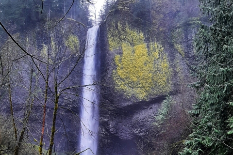 Portland City + Waterfall Combo: A full day of sightseeing