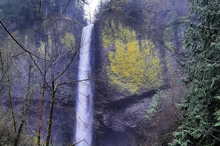 Portland City + Waterfall Combo: A full day of sightseeing