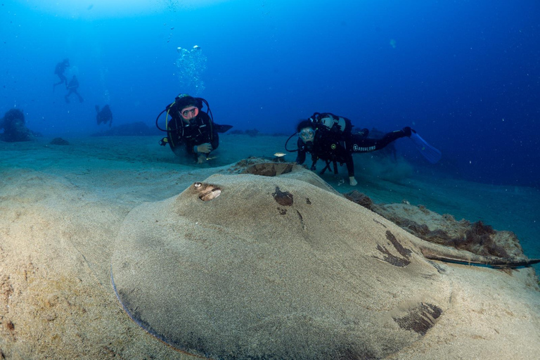 Your first introductory dive in Lanzarote with FREE photos. Your first diving baptism in Lanzarote with FREE photos