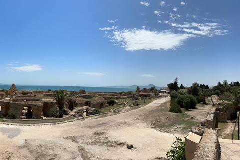 Private Day medina of Tunis Carthage Sidi Bousaid with lunch