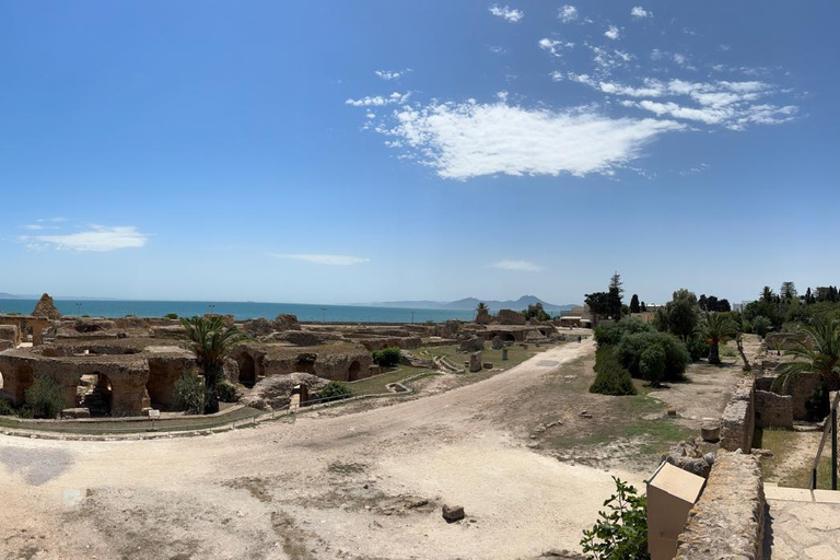 Private Day medina of Tunis Carthage Sidi Bousaid with lunch