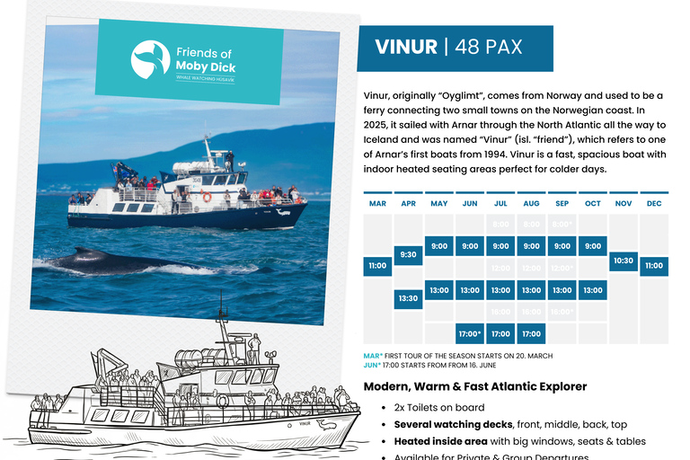 Húsavík: Whale Watching Tour with Heated Indoor Seating