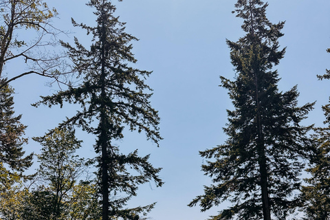 Bainbridge Island Discovery and Whiskey Tour Private Bainbridge Island Discovery and Whiskey Tour