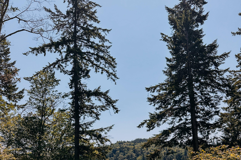 Bainbridge Island Discovery and Whiskey Tour Private Bainbridge Island Discovery and Whiskey Tour