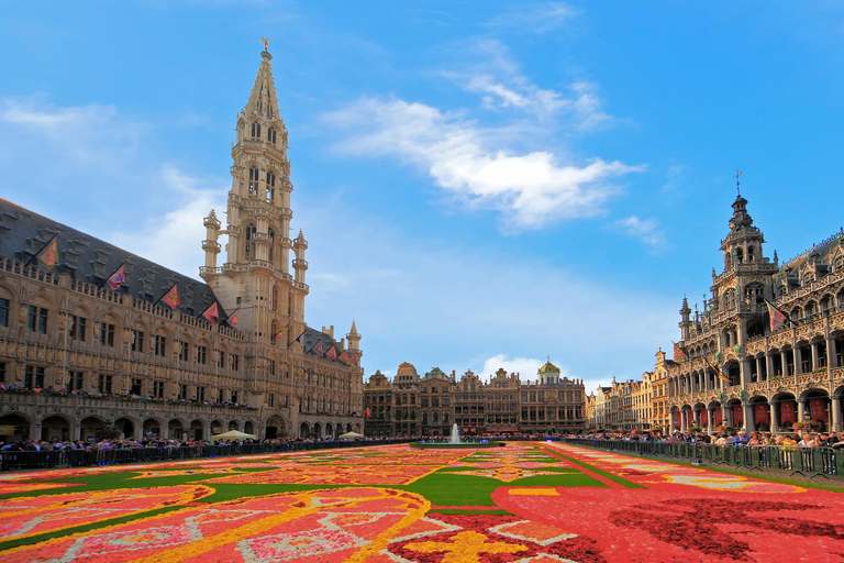 Privétour : Het beste van Brussel halve dag Vanuit Brussel