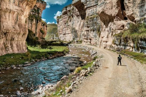 Huancayo: Shutjo Canyon, Puya de Raimondi, and Thermal Baths