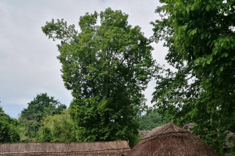 Panoramaturné i Bukarest med tre stopp och två besök.