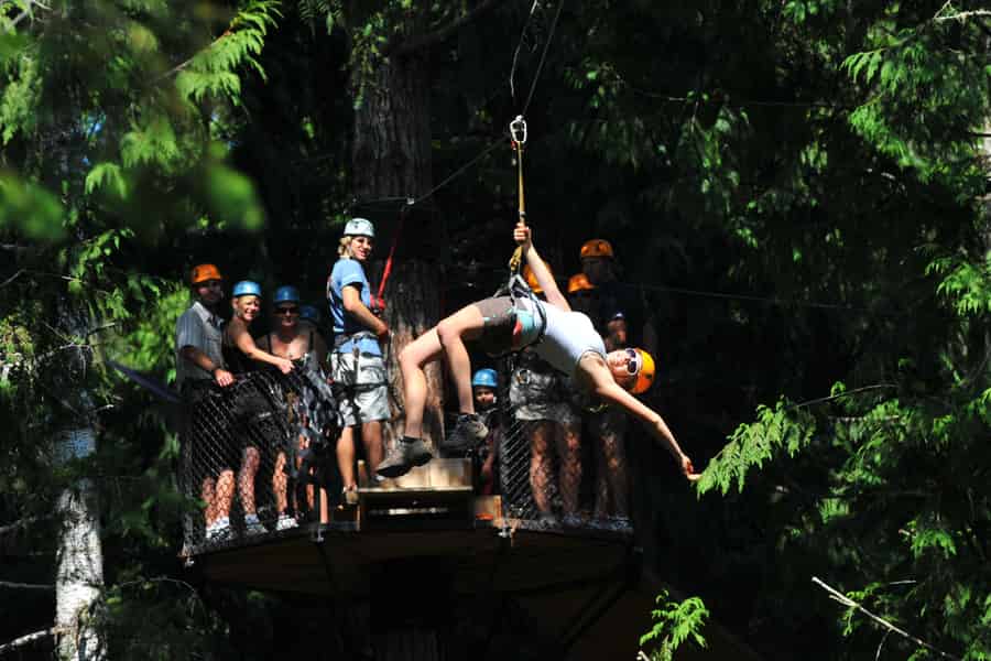 Victoria: 8 Zipline-Führung + Hängebrücke. Foto: GetYourGuide Victoria: 8 Zipline-Führung + Hängebrücke. Foto: GetYourGuide
