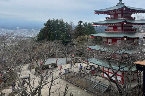 Mt Fuji Sightseeing Private tour with English Speaking Guide