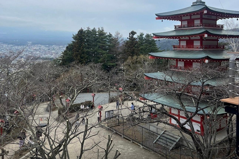 Mt Fuji Sightseeing Private tour with English Speaking Guide