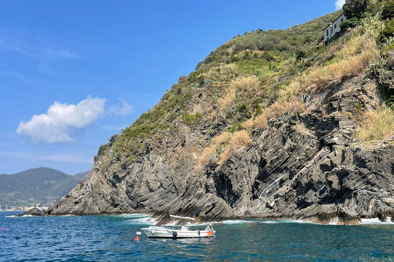 Vernazza: morning tour-afternoon-sunset aperitiv cruise tour 2-Hour Tour