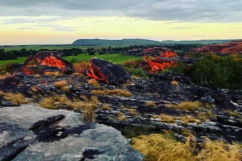 Au départ de Darwin : Circuit de 2 jours à Kakadu