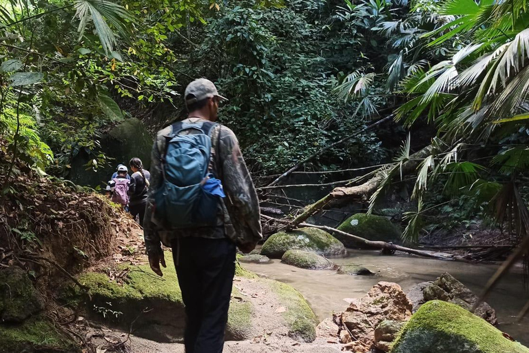 Santa Marta: Bunkuany Hike with Lunch & Guide