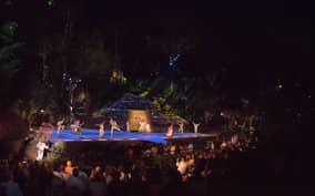 Puerto Vallarta: Rhythms of the Night Buffet and Show