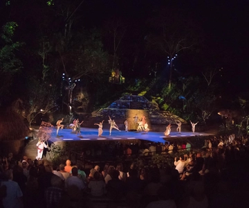Puerto Vallarta: Rhythmen der Nacht Buffet und Show