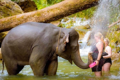Phuket : Rafting en bambou, VTT (en option), bain d'éléphants.15 minutes de VTT + Bambo Rafting + 30 minutes de bain avec les éléphants