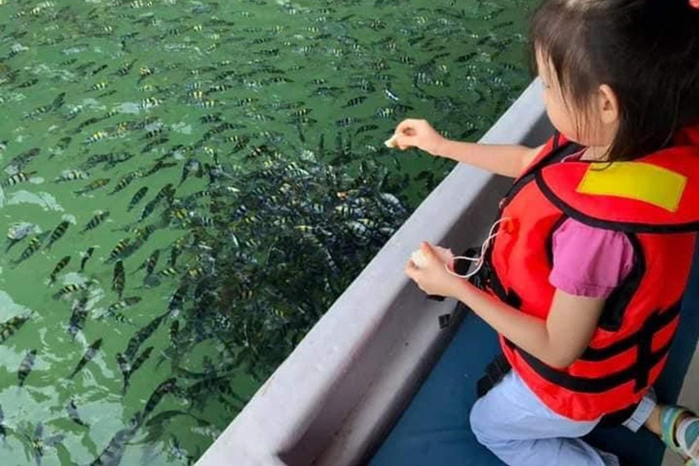 Ilha de Langkawi: Hopping 5 em 1 Grand TourSomente excursão (encontro no cais de Pekan Rabu)