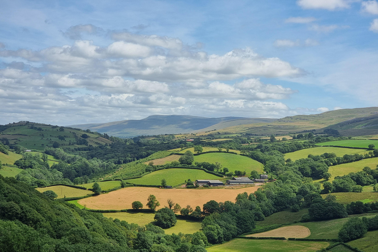 Depuis Cardiff : Visite à pied des chutes d'eau de Brecon Beacons