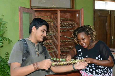 Mombasa :Fort Jesus, Vlinderhuis en oude stad rondleiding