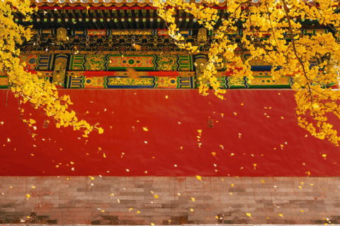 Beijing: Forbidden City Admission Ticket + Tour Guide