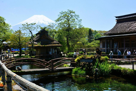 Mt Fuji Sightseeing Private tour with English Speaking Guide