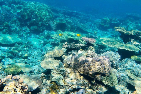 Coron: Tour dell'isola B