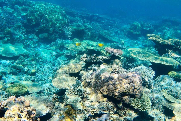 Coron: Tour dell'isola B