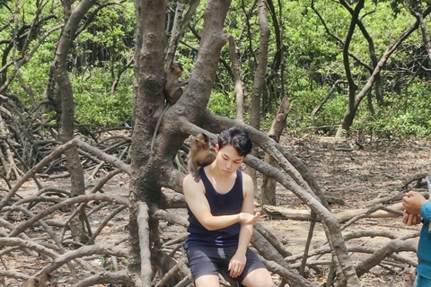 Visite d&#039;une jounée de la forêt de mangroves de Can Gio et de l&#039;île aux singes