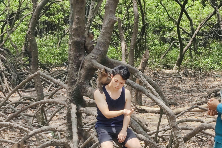 Visite d&#039;une jounée de la forêt de mangroves de Can Gio et de l&#039;île aux singes