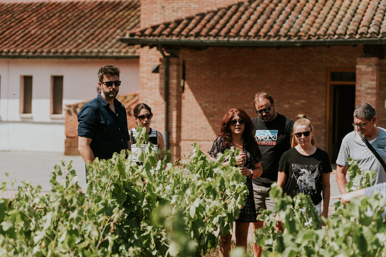 Logroño: guided tour + tasting of 3 wines at Viña Ijalba Logroño: Guided tour + tasting of 3 wines at Viña Ijalba