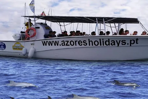 Whale watching