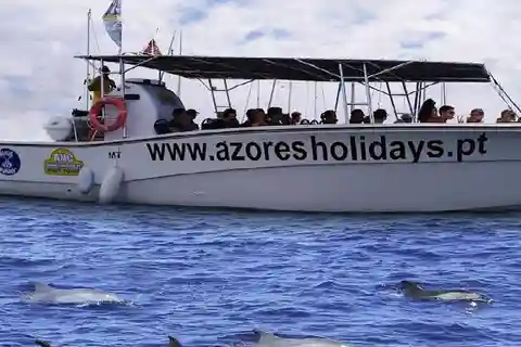 Whale watching