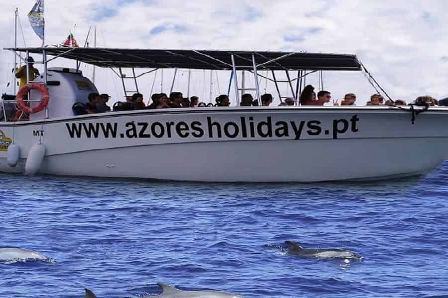 Whale Watching. Foto: GetYourGuide Whale Watching. Foto: GetYourGuide