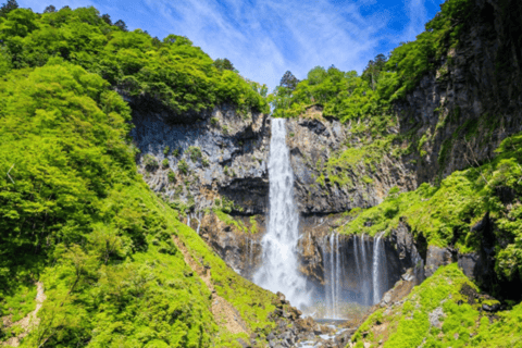 De Tóquio: Excursão de um dia a Nikko Toshogu com almoço tradicional