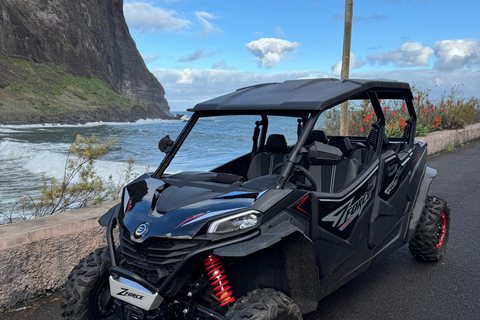 Passeio de buggy na Madeira – Floresta Selvagem e Vistas para a Montanha (4 lugares)Madeira: Passeio de Buggy Off Road (4 lugares)