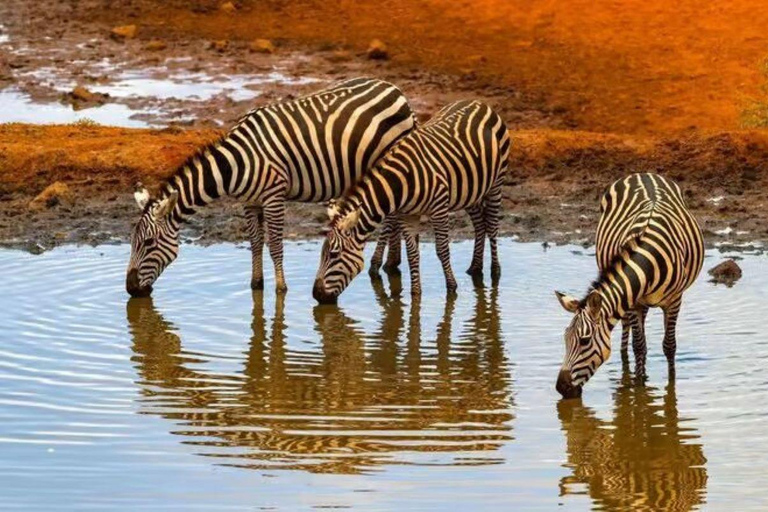 2 days 1 night saltlick safari from Diani/Mombasa.