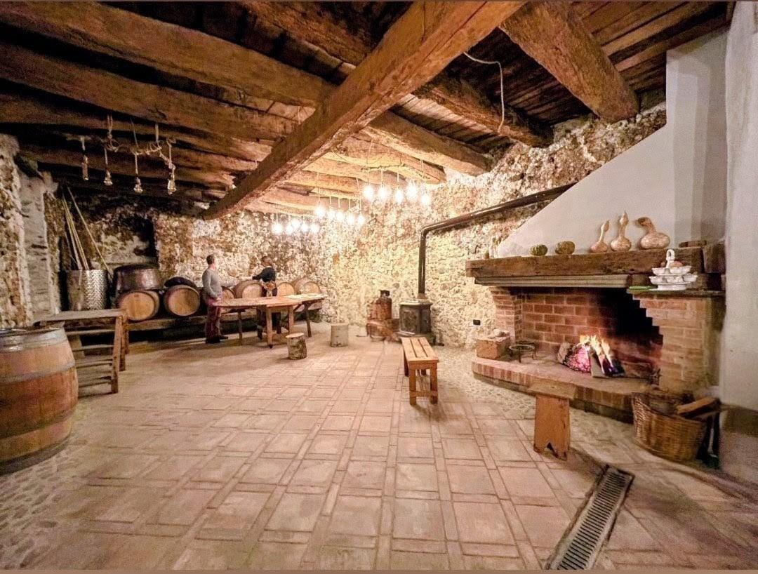 Cosenza: Tour und Verkostung im Weingut Maradei