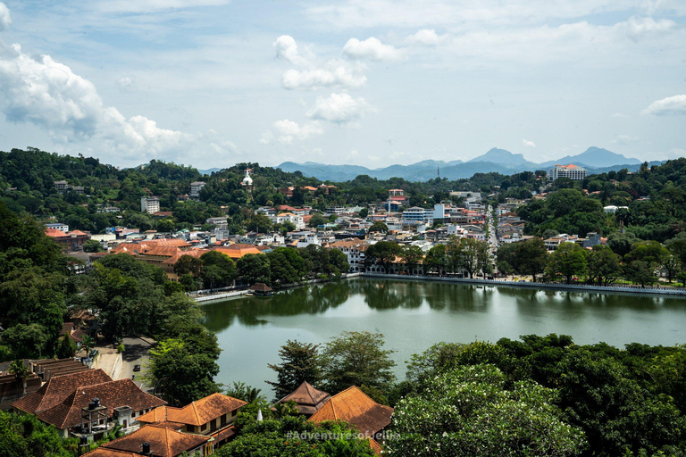 From Kandy: Tuk Tuk Day Trip To Ambuluwawa Tower