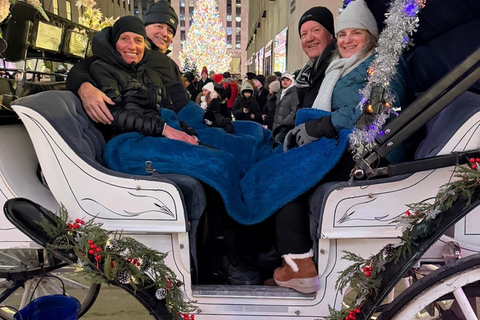 NYC: Central Park Christmas Lights Horse-Drawn Carriage Ride