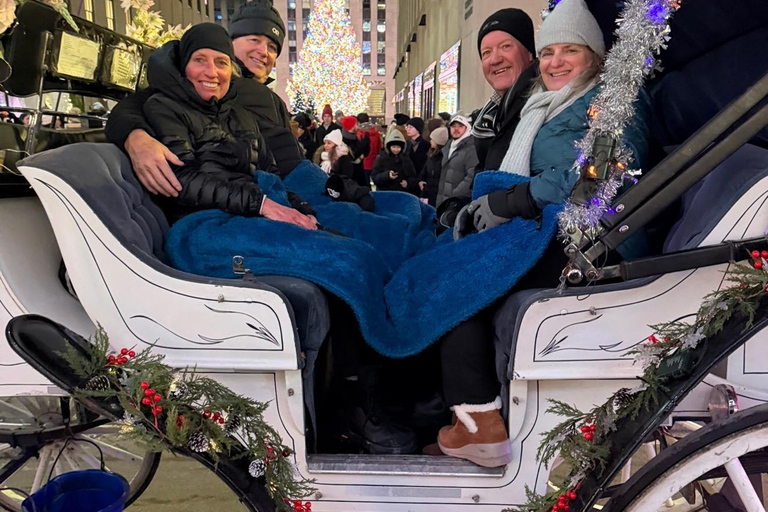 NYC: Central Park Christmas Lights Horse-Drawn Carriage Ride