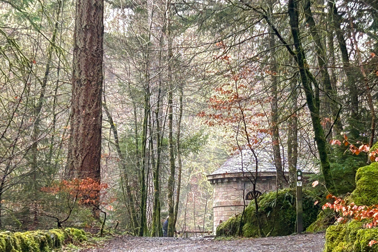 Scone Palace, Nature Walk and Whisky Experience Private Tour