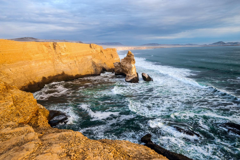 From Paracas: Private Tour to Laguna Rosada, Red Beach and La Catedral Option with direct arrival at the meeting point