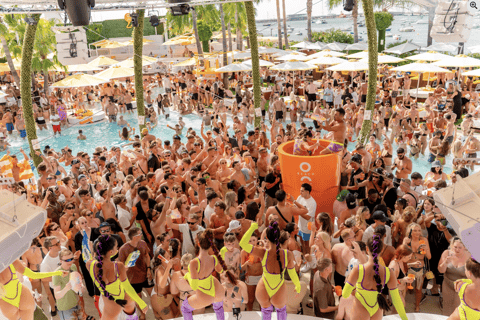 Ibiza: VIP Access to Pool Parties with 14-Day Pass