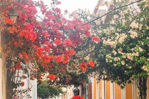 Ferragudo Village: Rent an Electric Bike