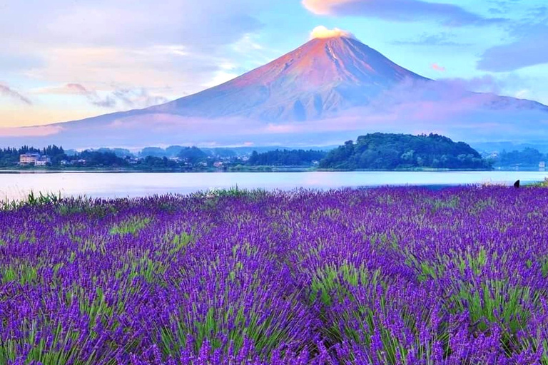 Tokyo: Full-day Tour of the Six Majestic Spots of Mt Fuji 8:00 AM Shinjuku West Exit, SMBC Meeting Point