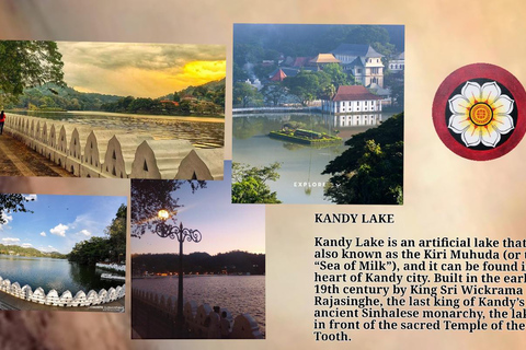 Kandy: City Tour with Temple of the Tooth & Tea Garden