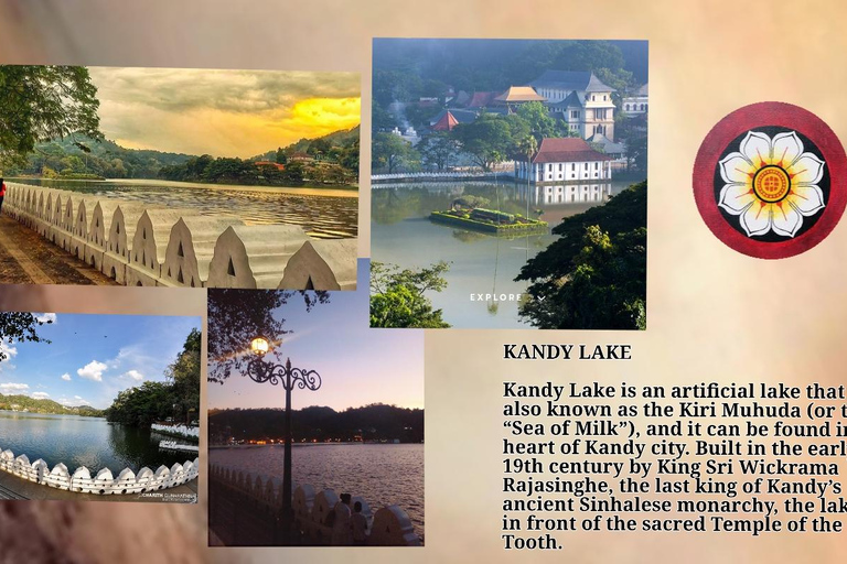 Kandy: City Tour with Temple of the Tooth & Tea Garden