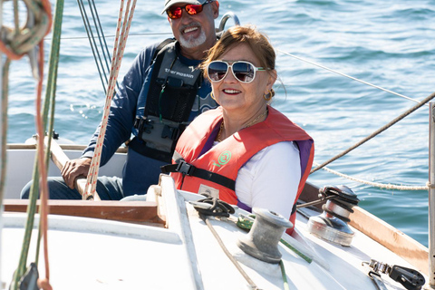 tour in barca a vela lungo la costa cilena