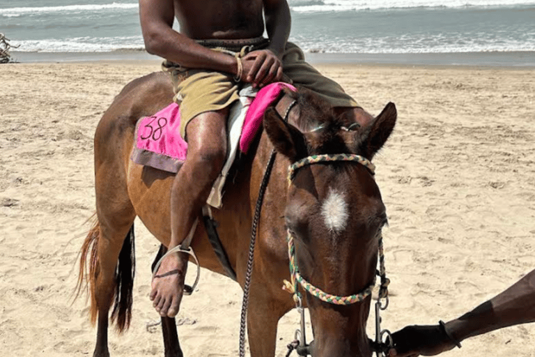 Labadi Beach Highlights: Sun, Sand, Vibes & Fresh Coconuts
