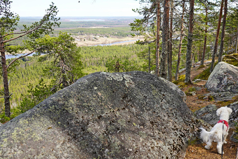 Rovaniemi: Övertorneå e a colina Aavasaksa. História e natureza